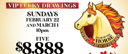 Lunar New Year - VIP Lucky Drawings