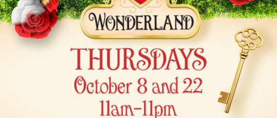 VIP Wonderland